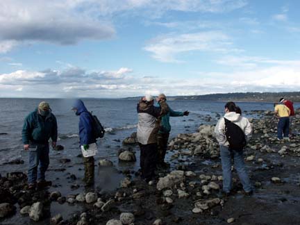 Beach Naturalists