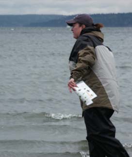 Beach captain putting sea star back out to sea