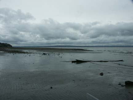 View of Carkeek Park Beach