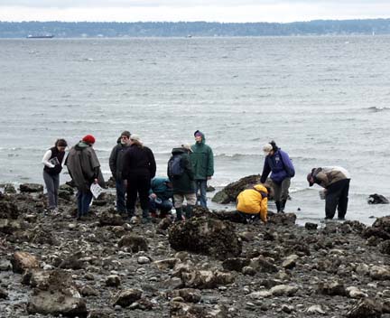 Carkeek Naturalists