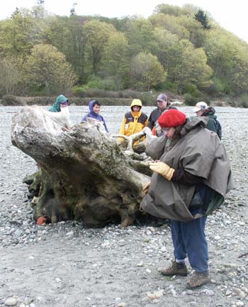 Carkeek Naturalists