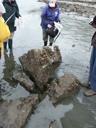 Carkeek Naturalists