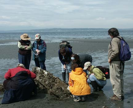 Naturalists at work