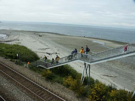 Naturalists on their way down to Carkeek Park beach