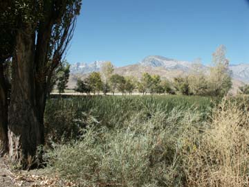 Pond at campsite