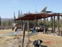 hayshed_after_windstorm